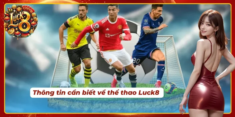 Vài nét về cá độ thể thao online